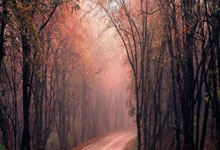 [天下足球]战胜柏林赫塔 拜仁夺回榜首之位.