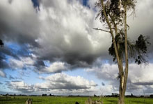 雷竞技：罗马诺：维拉对拉什福德完全满意，期待他离开曼联！.