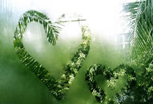 雷竞技：[CBA]北京控股主场战胜吉林男篮.