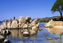 雷竞技：[图]库里4000记三分里程碑 勇士大胜国王豪取六连胜.